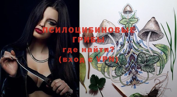 индика Алексеевка