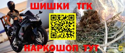 тгк Партизанск