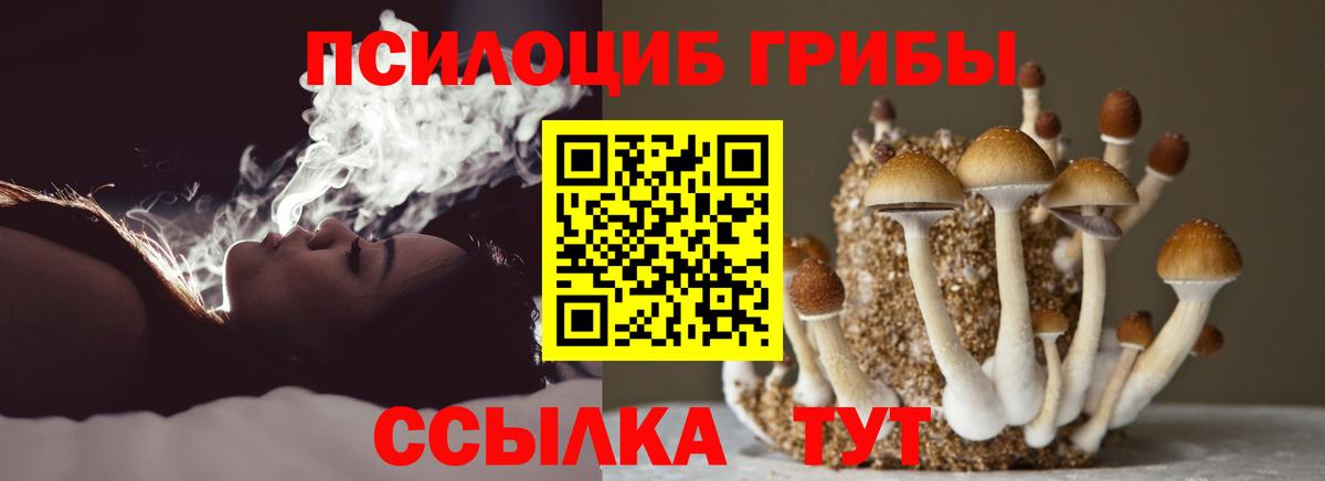 Псилоцибиновые грибы ЛСД Чистополь